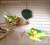  Loro
